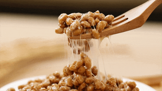 06d1553b1729bd15c8b8a3e11f2b48f0.gif