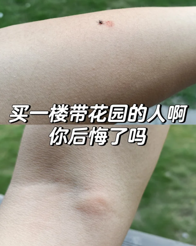 12eab14c6d32e881c7a499e700b94bf9.png