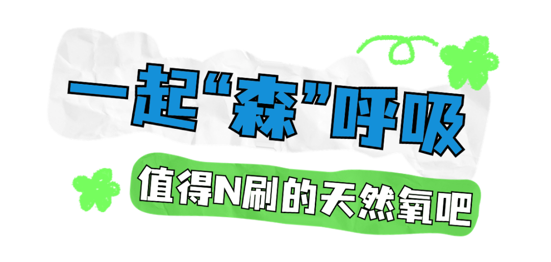1a496256e3645c991c1081e723c6fb57.png