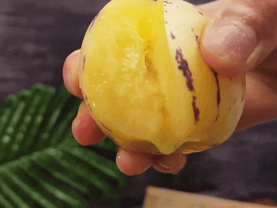 f93223f3d84252ffcf1934493b990006.gif