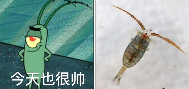 c49b473f66e090ef7a5f97b87ec2ff4c.png