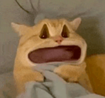1ddc0dec970d4e1c22292d5bf9100760.png