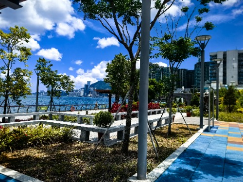 IMG_20250517_124719.jpg