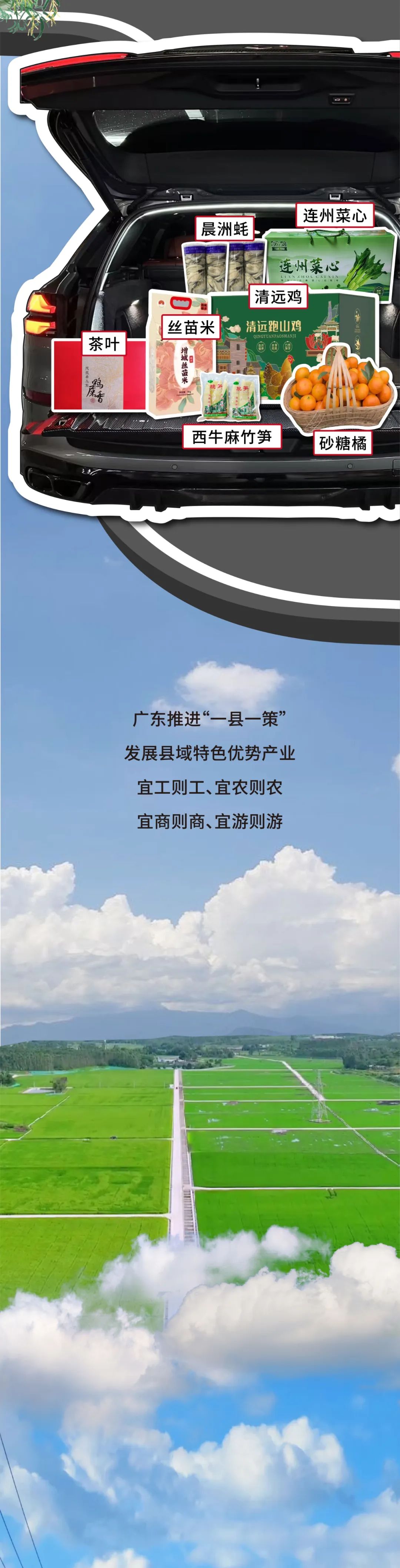 b5c6f6ded712fc1ed8136ce295499d47.jpeg