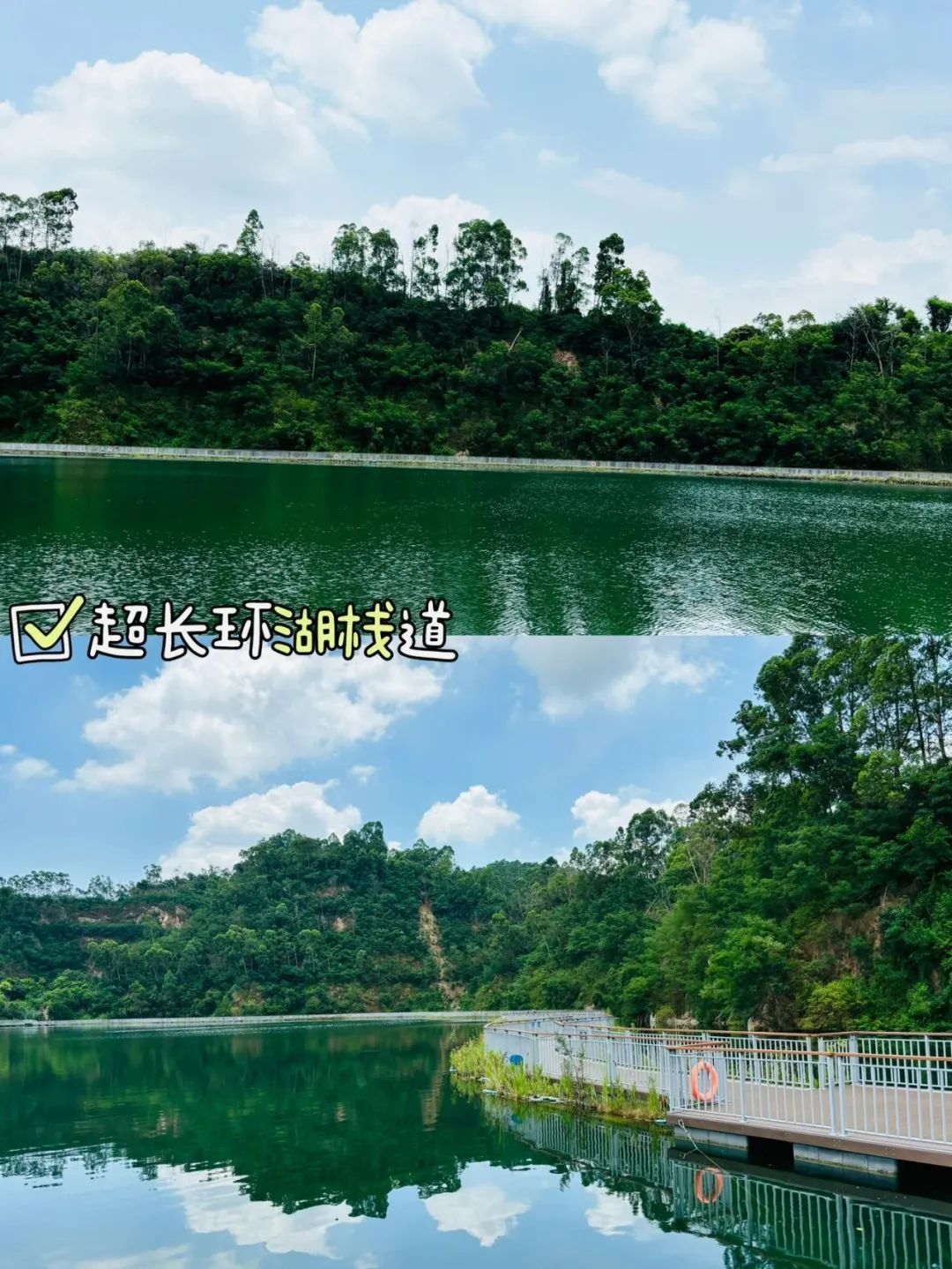 f63d7650fc8d2e2b8b96cf491ba1a5ab.jpeg
