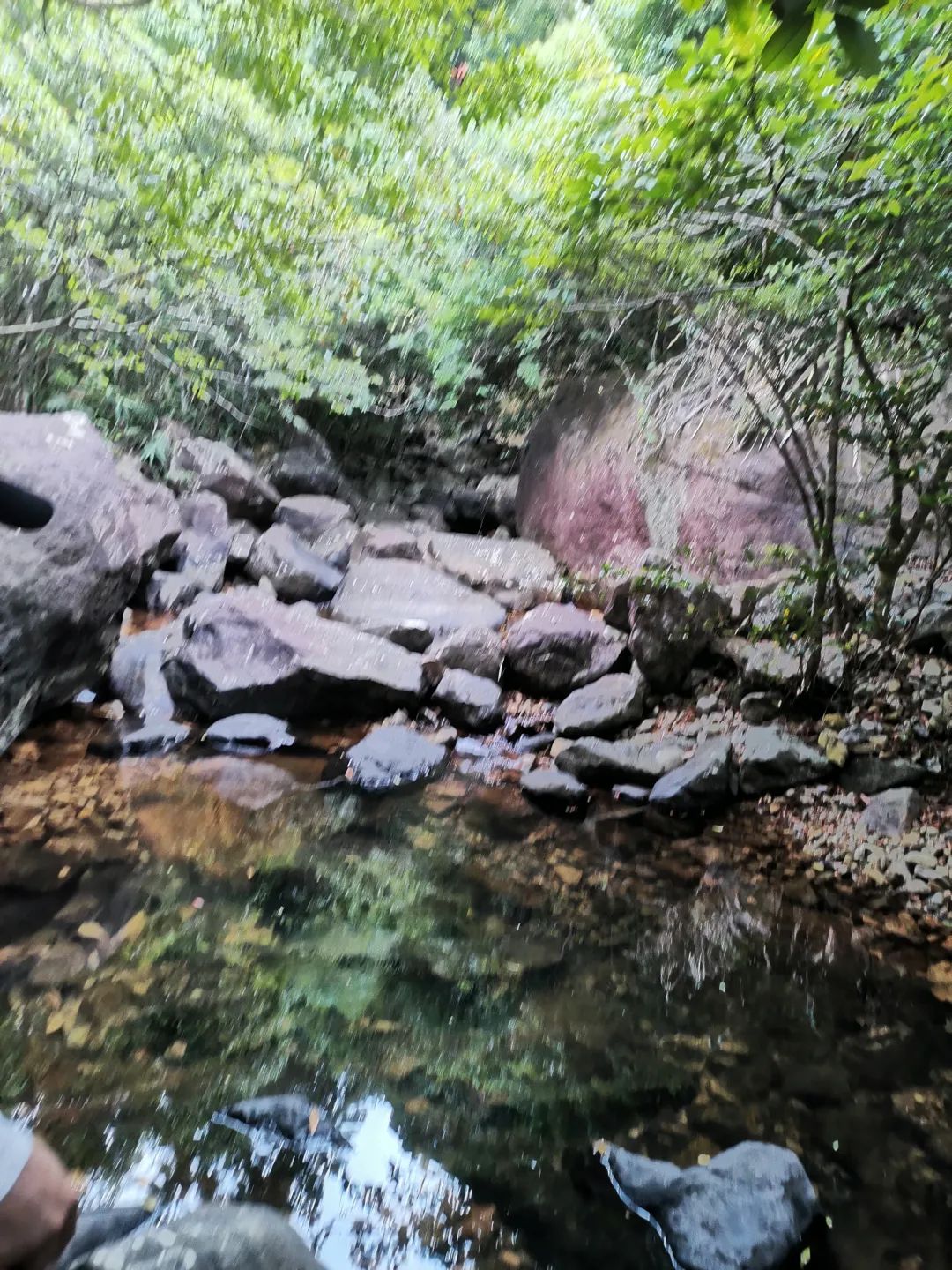 fc17510bd71fa46977e55b81ec9a55d6.jpeg