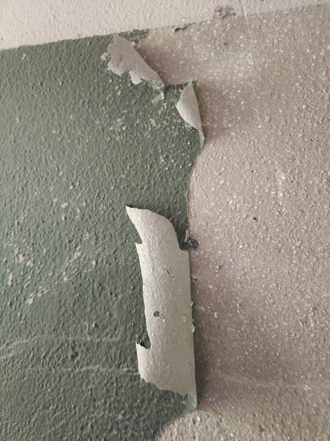 ce587eeaeaaaeec4d7b938e10e852322.png