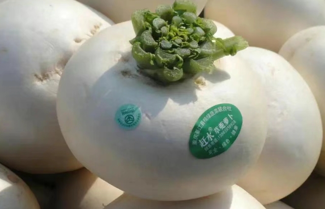 微信截图_20250616173828.png