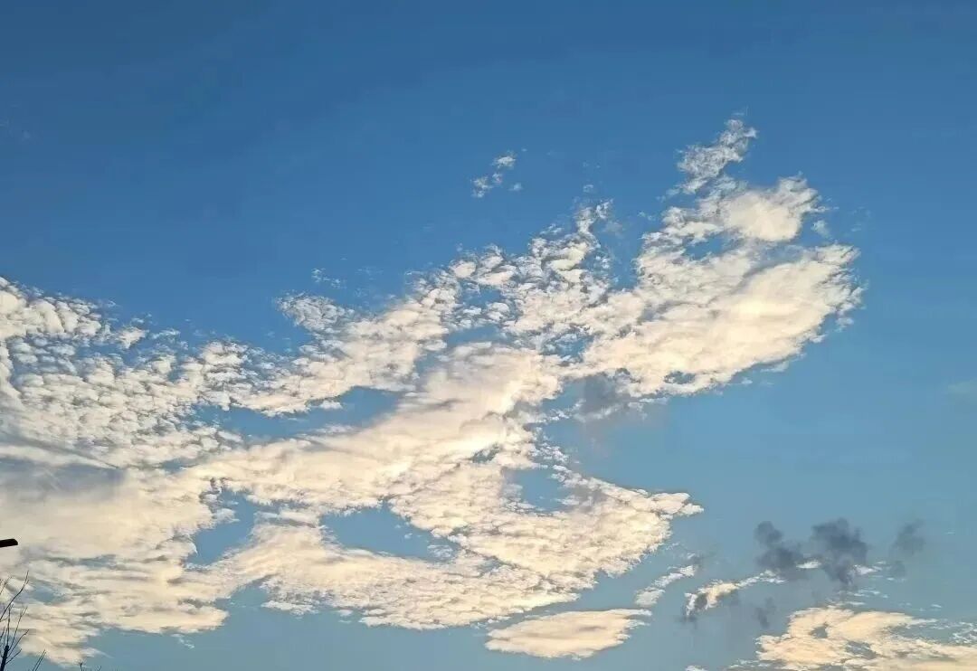 c79f5248788be0394dc15bad9b37c230.jpeg