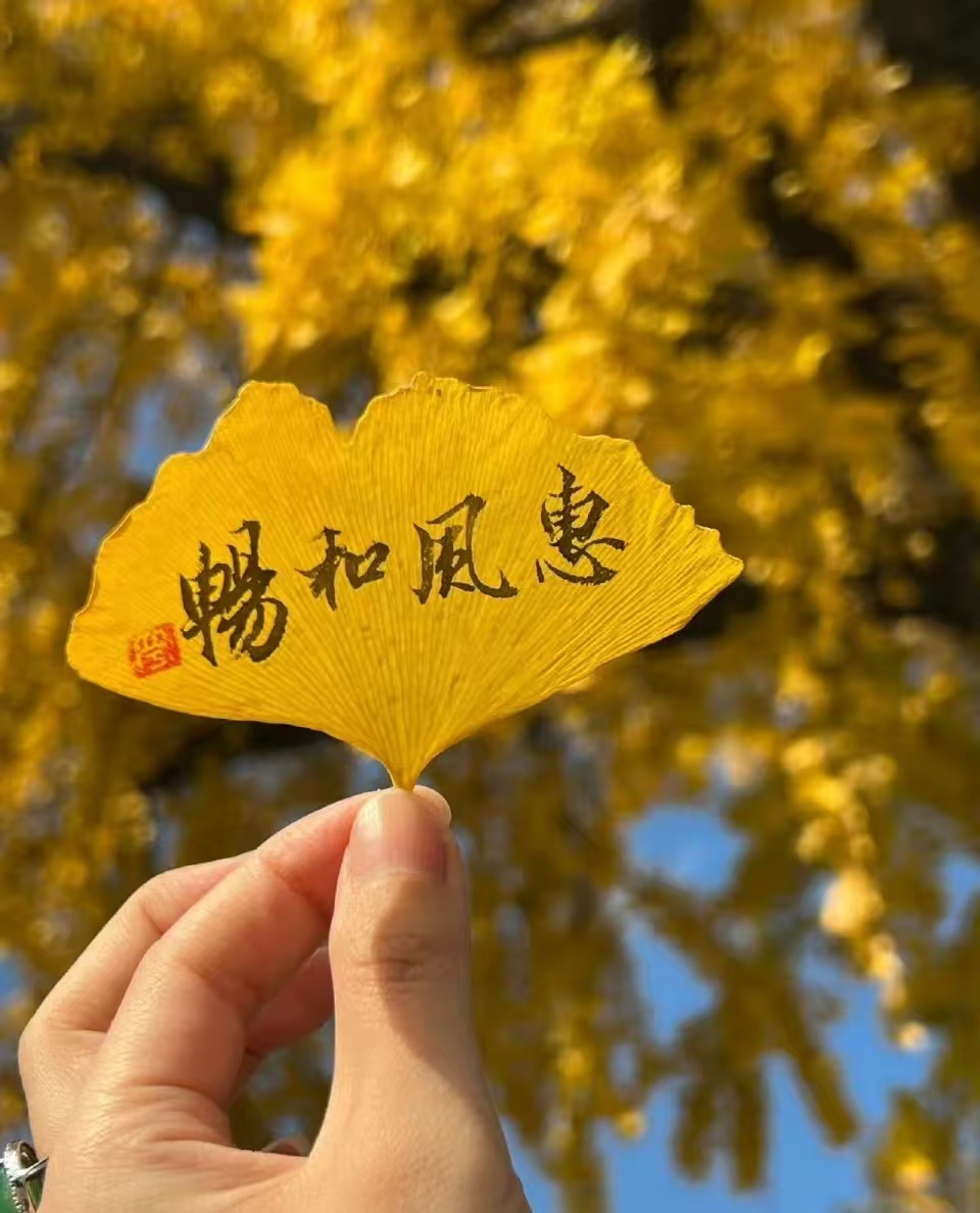 微信图片_20251017161110_592_6.jpg
