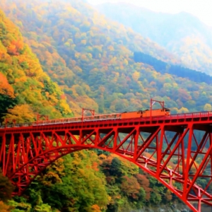 阆中景点全面恢复开放 古城旅游满血复活