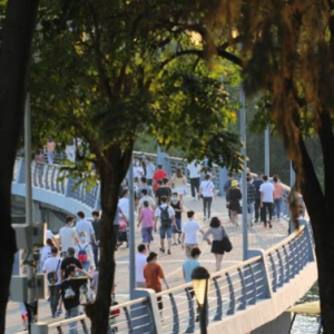 打卡深圳网红公园3个小众景点，万平紫色花海等你来