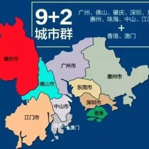 粤港澳大湾区的发展与人才的引进