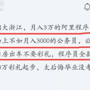程序员叹息：太难了，三万的程序员确实不如三千公务员？