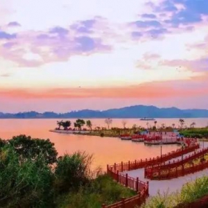 @广东人，新增了4处国家级湿地公园，春节去打卡！