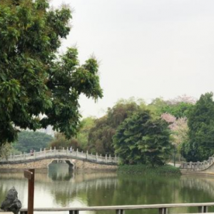 佛山旅游 佛山旅游景点介绍  全国有87座中山公园，佛山也有一座，它是佛山人的童年记 ...