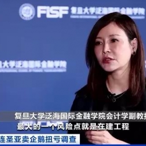 靠52只企鹅收入2200万元！这家上市公司遭监管问询！