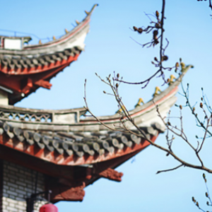 东莞高铁游16个旅游城市 虎门到广州只需17分钟