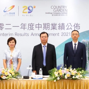 碧桂园中报：销售增长、财务稳健 龙头房企保持“行稳致远”战略定力 ...
