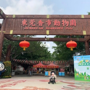 广东动物园名单大全 广东野生动物园哪里好