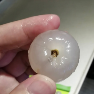 吃这样的荔枝，就是在吃虫子？网友：手里的突然就不香了…… ...