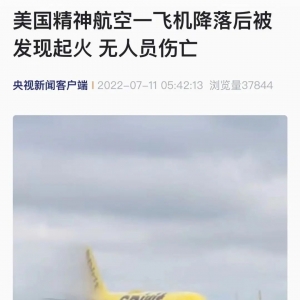 突发！美国一客机降落后起火