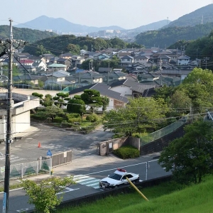 日本“人猴大战”，已致61人受伤