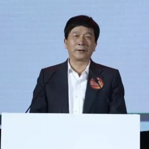 丁文武被查！