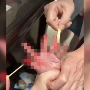 多地报告发现“怪鱼”
