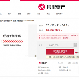 一串手机号码，起拍价1366万！