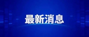 教育部发话：严禁这一行为