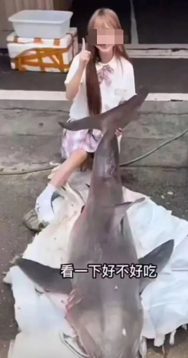 2人被批捕！网红博主烹食噬人鲨，最新后续