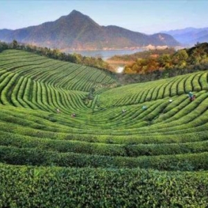 广东鹤山出发自驾游最棒景点攻略推荐