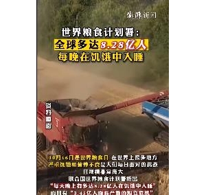 “全球多达8.28亿人每晚在饥饿中入睡”