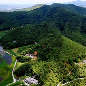 广东肇庆：夏季乡村游升温