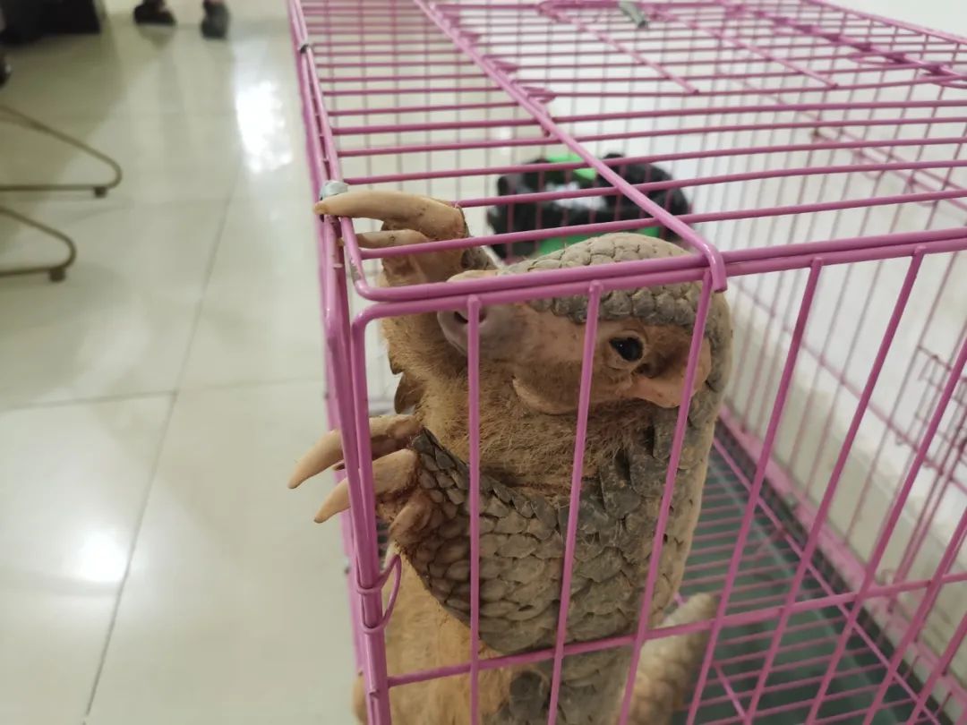 就在一工地，他们捡到“无价之宝”…...