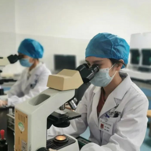 全国罕见！这里发现一例“恐龙血”