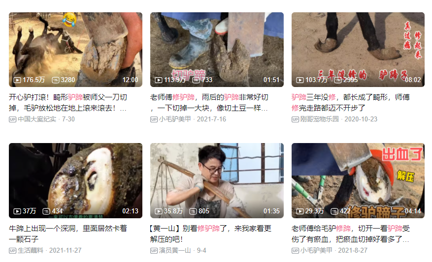 年轻人解压方式有多野？上亿人看修驴蹄，还爱看抠藤壶挤痘痘 ... ...