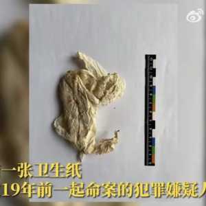 女子被杀身亡，“社会关系复杂”，19年前的一张卫生纸成破案关键！ ...