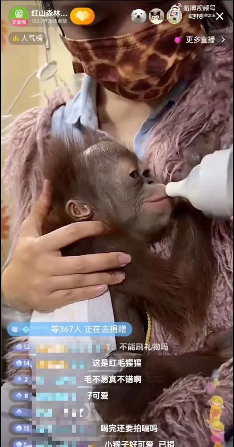 多地动物园尝试转型！韩寒也曾参与