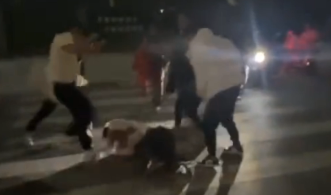 10名涉案人员全部归案！