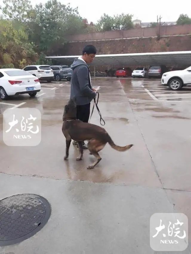 15岁高中生失联事件提级调查！民间团体搜救犬校内发现3处可疑点 ...