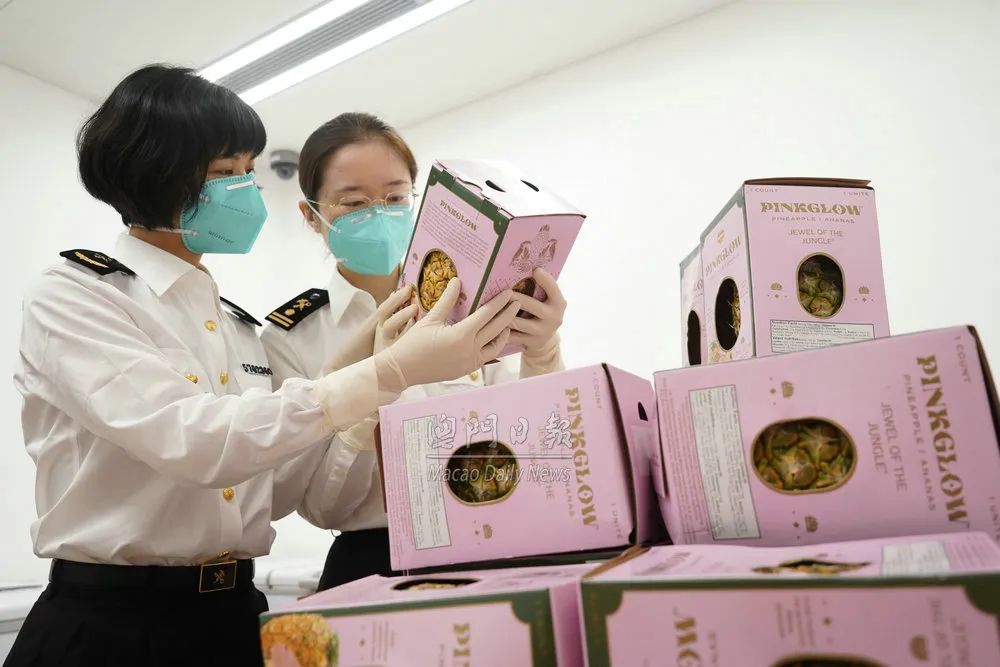 300公斤蔬菜水果