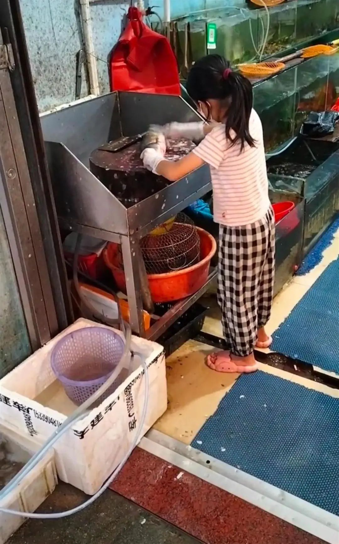 9岁女孩熟练杀鱼刮鳞惊呆顾客！父亲回应