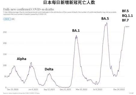 “新冠预测者”：不同突变株每年可致多个感染高峰