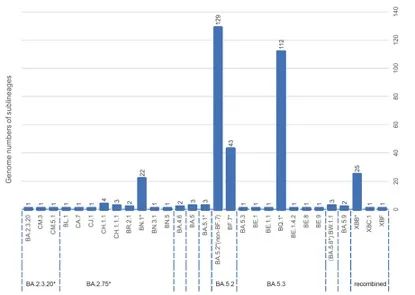 疫情走向如何？哪些人是高危人群？最新研究