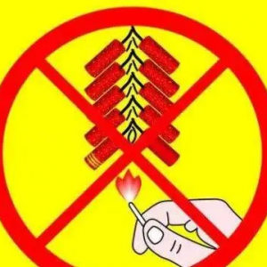 有关烟花爆竹燃放，多地调整！