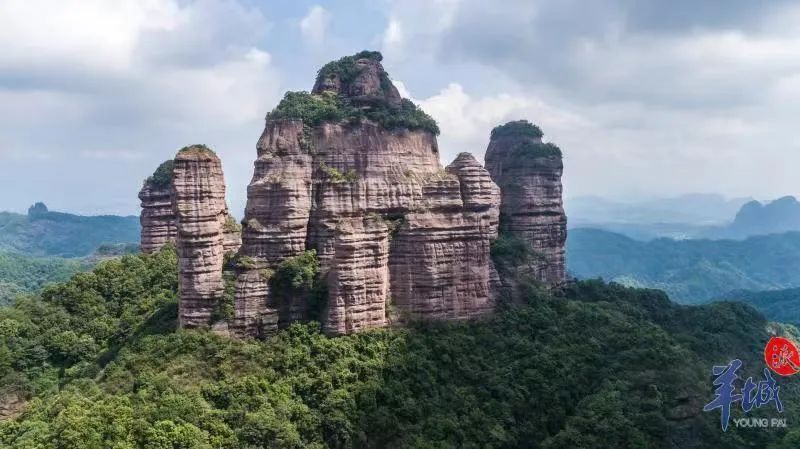多地宣布！春节期间，免费、打折！