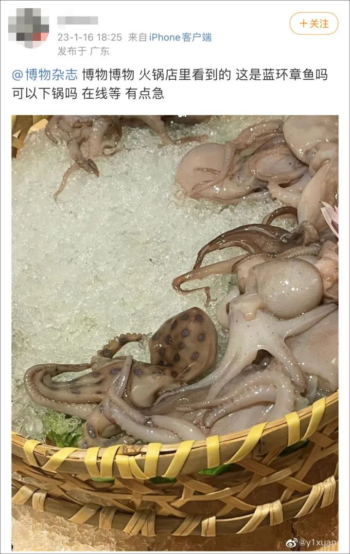 热搜第一！吃火锅前发了张照片，躲过了剧毒