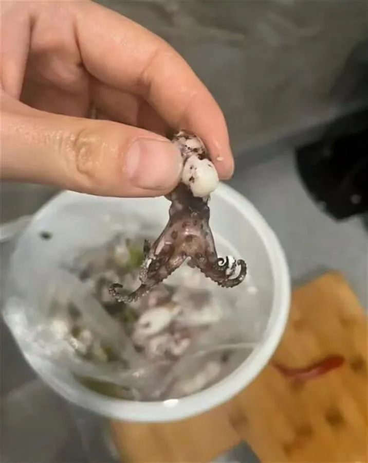 女子买鱿鱼回家，煮熟后竟发现这一幕！惊呆了